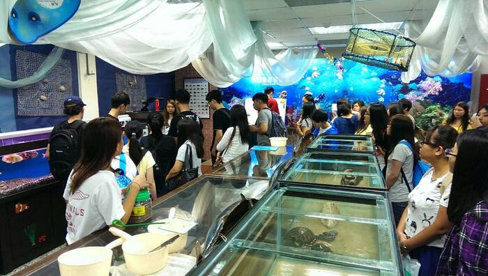 體驗特色水族培育解說及實際觀察體驗圖片